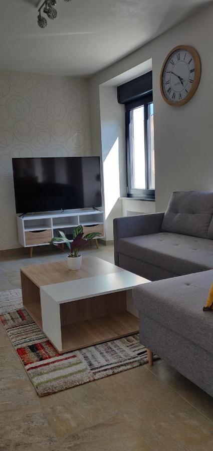 Le Cygne, Appartement De Standing En Hyper-Centre Саргемин Экстерьер фото