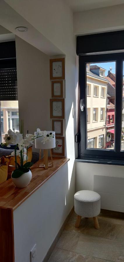 Le Cygne, Appartement De Standing En Hyper-Centre Саргемин Экстерьер фото